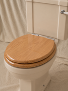 Close-Coupled Toilet