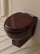 Wall-Hung Toilet