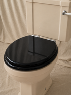 Close-Coupled Toilet