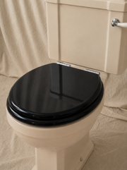 Close-Coupled Toilet