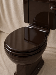 Close-Coupled Toilet