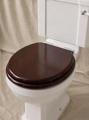 Close-Coupled Toilet