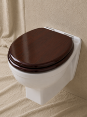 Wall-Hung Toilet