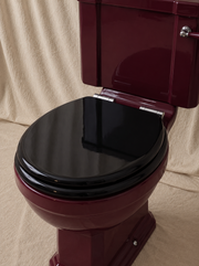 Close-Coupled Toilet