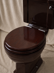 Close-Coupled Toilet