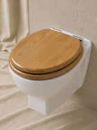 Wall-Hung Toilet