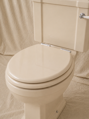 Close-Coupled Toilet