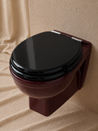 Wall-Hung Toilet