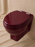 Wall-Hung Toilet