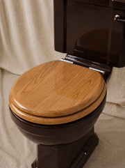 Close-Coupled Toilet