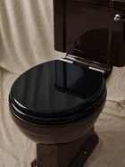 Close-Coupled Toilet