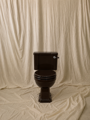 Close-Coupled Toilet