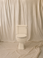Close-Coupled Toilet