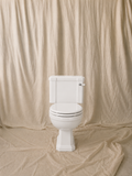 Close-Coupled Toilet