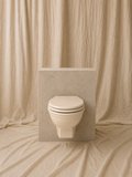 Wall-Hung Toilet
