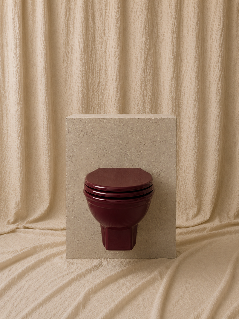 Wall-Hung Toilet