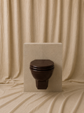 Wall-Hung Toilet