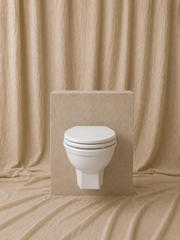 Wall-Hung Toilet