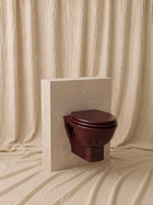 Wall-Hung Toilet