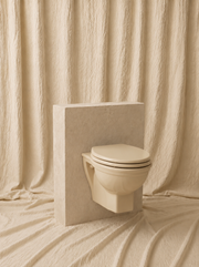 Wall-Hung Toilet