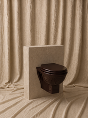 Wall-Hung Toilet