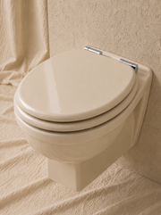 Wall-Hung Toilet