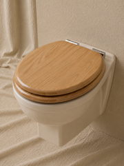 Wall-Hung Toilet