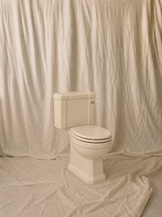 Close-Coupled Toilet