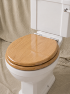 Close-Coupled Toilet