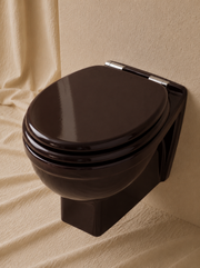 Wall-Hung Toilet