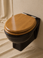 Wall-Hung Toilet