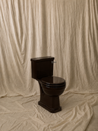 Close-Coupled Toilet