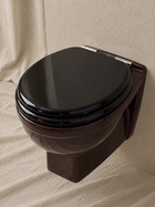 Wall-Hung Toilet