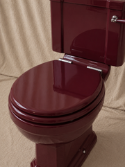 Close-Coupled Toilet