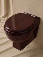 Wall-Hung Toilet