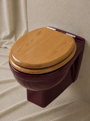 Wall-Hung Toilet