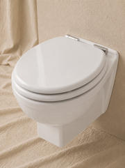 Wall-Hung Toilet